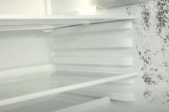 How to safely and effectively remove mold in the refrigerator at home?