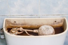 Recipes and methods on how to clean a toilet cistern from rust inside at home