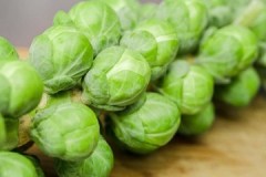 A wealth of vitamins: how to store Brussels sprouts until spring?