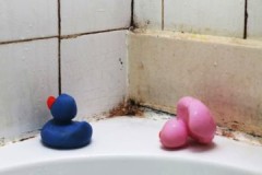 Hoe snel en effectief schimmel in de badkamer verwijderen?