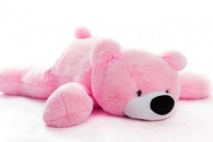 Step-by-step instructions on how to wash a large soft toy at home
