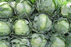 Useful information: when should you store cabbage for the winter?