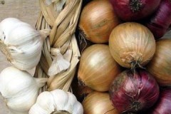 Kompetentní organizace skladování cibule a česneku doma je zárukou bezpečnosti plodiny!
