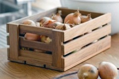 An urgent question: can onions and other onions be stored in a cellar?