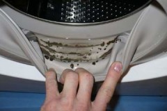 How to easily and inexpensively remove mold in a washing machine using rubber / rubber bands?