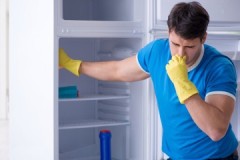 TOP 10 folk remedies to remove the smell from the refrigerator