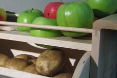 วิธีการทางวิทยาศาสตร์: สามารถเก็บแอปเปิ้ลไว้ในห้องใต้ดินพร้อมกับมันฝรั่งได้หรือไม่